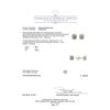 Image 3 : 1.45 ctw Diamond Stud Earrings - 14KT White Gold