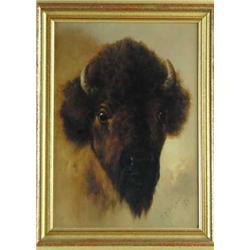 OIL ON PANEL PORTRAIT OF BUFFALO BY NOTED ARTIST FRANKLIN DULLIN BRISCOE