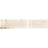Image 3 : 1856 President FRANKLIN PIERCE Signed Ornate Vellum Military Commission