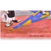 Image 3 : Ray Smith (1959), original drawing-water color