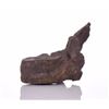 Image 1 : Huge Petrified Dinosaur Vertebrae. Provenance: