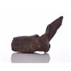Image 8 : Huge Petrified Dinosaur Vertebrae. Provenance: