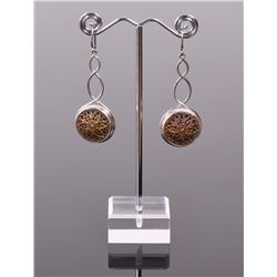 Designer ALXN Sterling Silver Earrings With Re