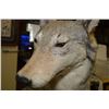 Image 2 : Mounted Full Body Wolf on Base