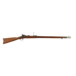 SPRINGFIELD MODEL 1884 TRAPDOOR RIFLE