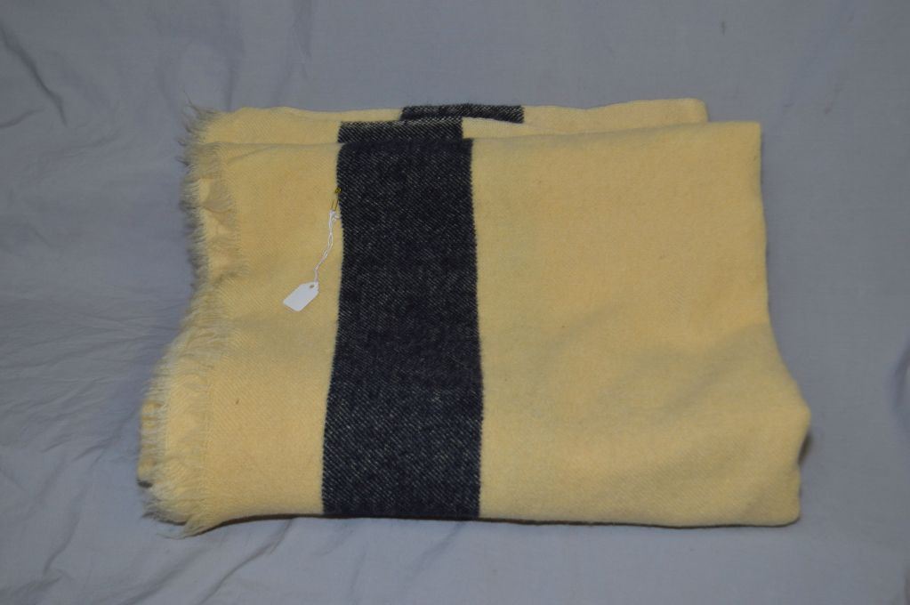 Vintage Hudson's Bay three and a half point blanket