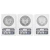 Image 2 : Set of (3) $1 American Silver Eagle Coins NGC MS69