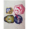Image 1 : Nasa, Blue Angels, & Snowbirds Patches