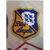 Image 4 : Nasa, Blue Angels, & Snowbirds Patches