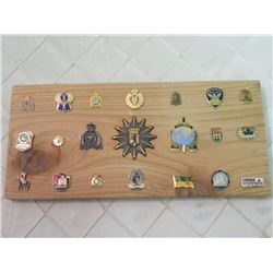 Plaque w/ Police Pins
