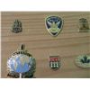 Image 4 : Plaque w/ Police Pins