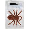Image 1 : NEW INFRARED REMOTE CONTROL SPIDER