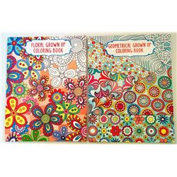 LOT OF 2 ADULT COLORING BOOKS
