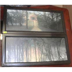 2 CANVAS ART PICTURES OF FORREST