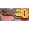 Image 1 : RAVEN GUITAR CLASSICAL MODEL A500K WITH BROWN HARD
