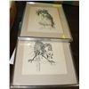 Image 1 : PAIR OF 1981 BIRD PRINTS BY J. BRANDT