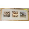 Image 1 : 3D SHELL FRAMED PICTURE 12"X28"