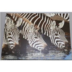ZEBRA PRINT ON CANVAS