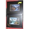 Image 1 : LOT OF 2 FRED BUCHWITZ FRAMED PRINTS