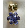 Image 1 : 14Kt Yellow Gold & Tanzanite Flower Cluster Pendant