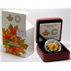 Image 2 : 2014 Canada $20 Fine Silver Coin - Maple Leaves - Coloured