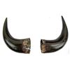 Image 1 : 2 Antique Buffalo Horns