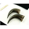Image 2 : 2 Antique Buffalo Horns