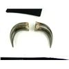 Image 3 : 2 Antique Buffalo Horns