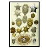 Image 1 : Collection of Badges