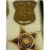 Image 8 : Badge Display