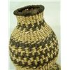 Image 4 : Apache Basket