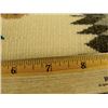 Image 5 : Navajo Rug/Weaving