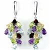 Image 1 : Natural Multi Gemstone Earrings