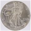Image 1 : 1996 American Silver Eagle Dollar Coin
