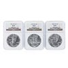 Image 1 : 1986-1991 NGC MS69 $1 American Silver Eagle Coin Set