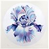 Image 1 : Lowell Blair Nesbitt, Iris on Silver, Serigraph
