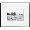 Image 1 : Unknown Artist - Cow in Pasture, Photograph