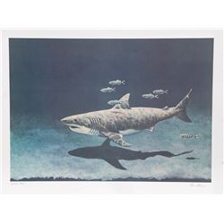 Richard Ellis, Great White Shark, Lithograph