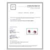 Image 2 : 14K YELLOW GOLD RUBY EARRING
