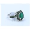 Image 2 : 14K White Gold Tsavorite Ring:5.5g/Tsavorite:34ea/Emerald:1.67ct