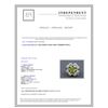 Image 5 : 14K WHITE GOLD PERIDOT RING : 11.72g / Diamond: 0.83ct / Peridot: 1.8ct