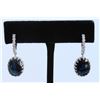 Image 1 : 14K WHITE GOLD SAPPHIRE EARRING:6.5g/Diamond:1.3ct/Sapphire:12.97ct
