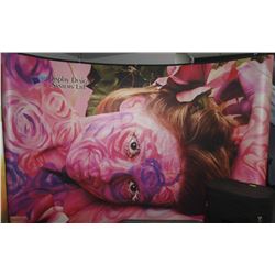 COMPLETE ABEXPL3 POP UP DISPLAY WITH LIGHTING