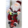 Image 1 : TRICYCLE RIDING SANTA