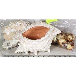 LOT OF 2 BAGS OF SEA SHELLS W/ 1 LARGE SHELL