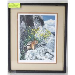 "MOUNTAIN BLOOMS GROUND SQUIRREL" BY RON PARKER