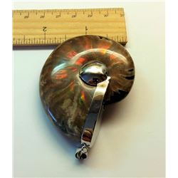 AMMONITE PENDANT SPECIMEN