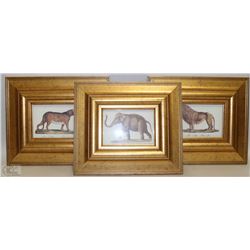 BOX W/3-PC SET SAFARI PICTURES