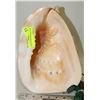 Image 1 : LARGE VINTAGE CONCH SHELL LAMP