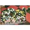 Image 1 : SET OF 6 SYMPATHY WREATHS